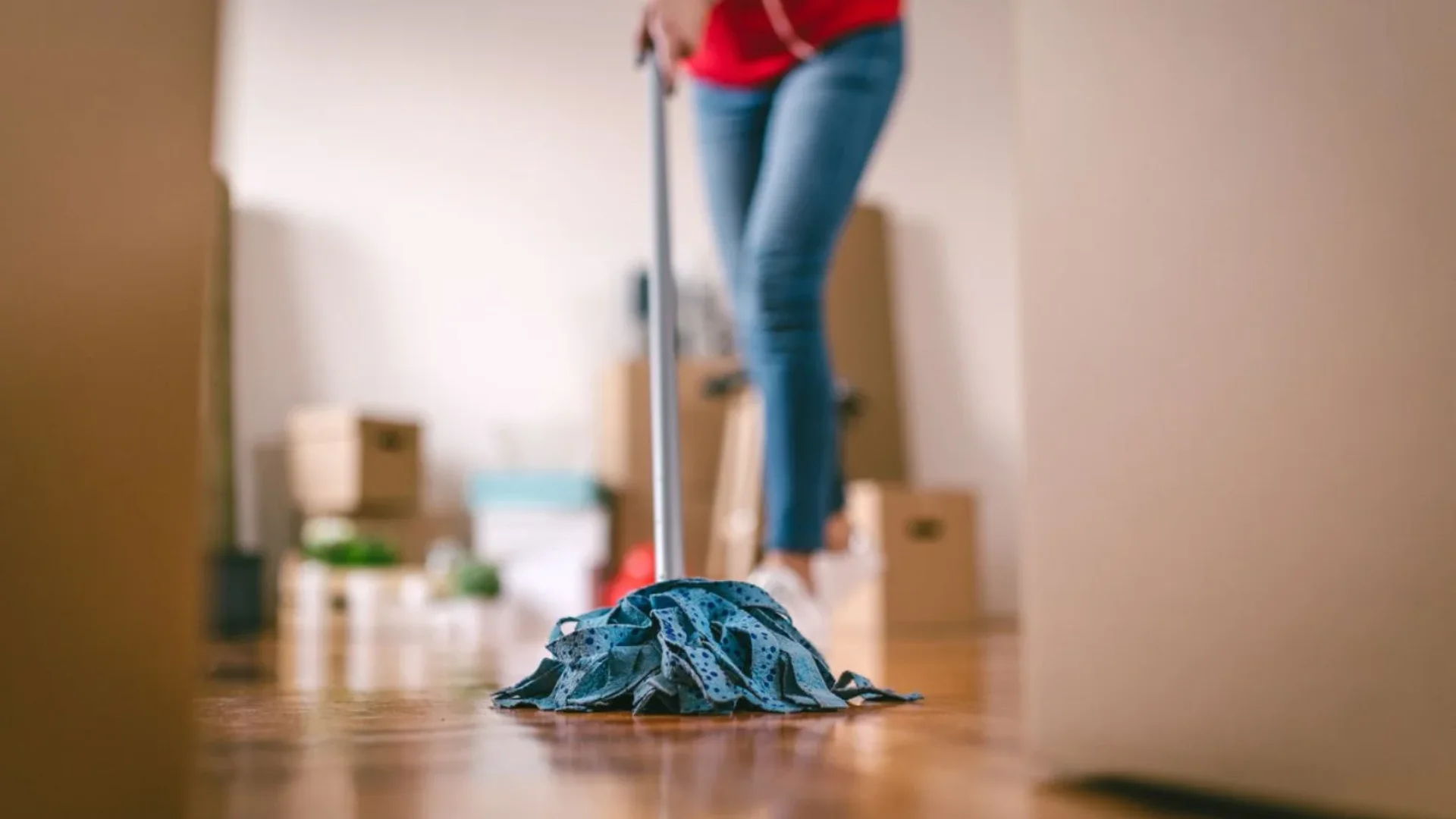 Move-Out Cleaning Services in Green Bay
